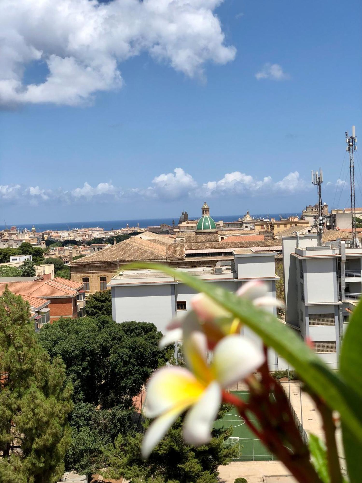B&B Bellavista, Palermo